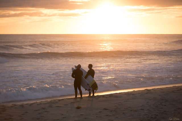 The Ocean: An Extraordinary Mystery and My Greatest Inspiration