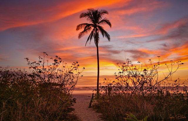 Top 3 Destinations to Escape the Cold this Winter