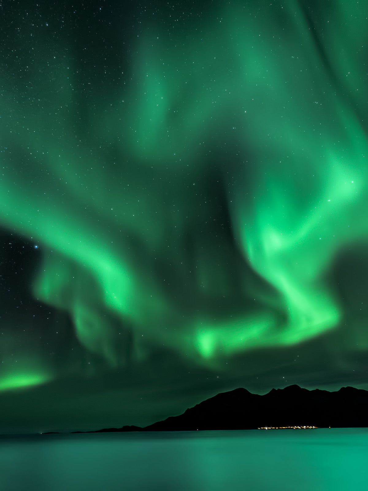 Women's Skirt | Northern Lights