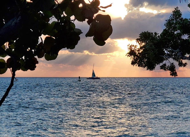 How Can One Take Care of Oneself Every Day?