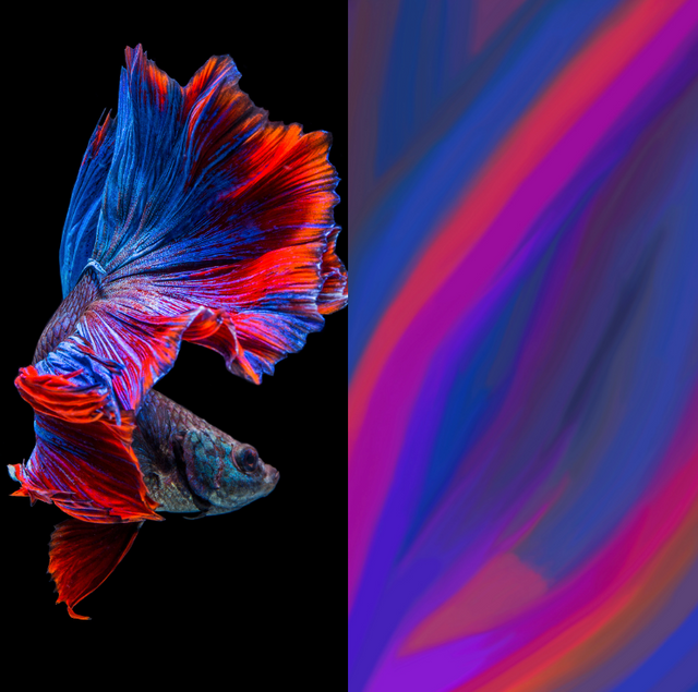 A Colorful Connection: Designed by the Sea