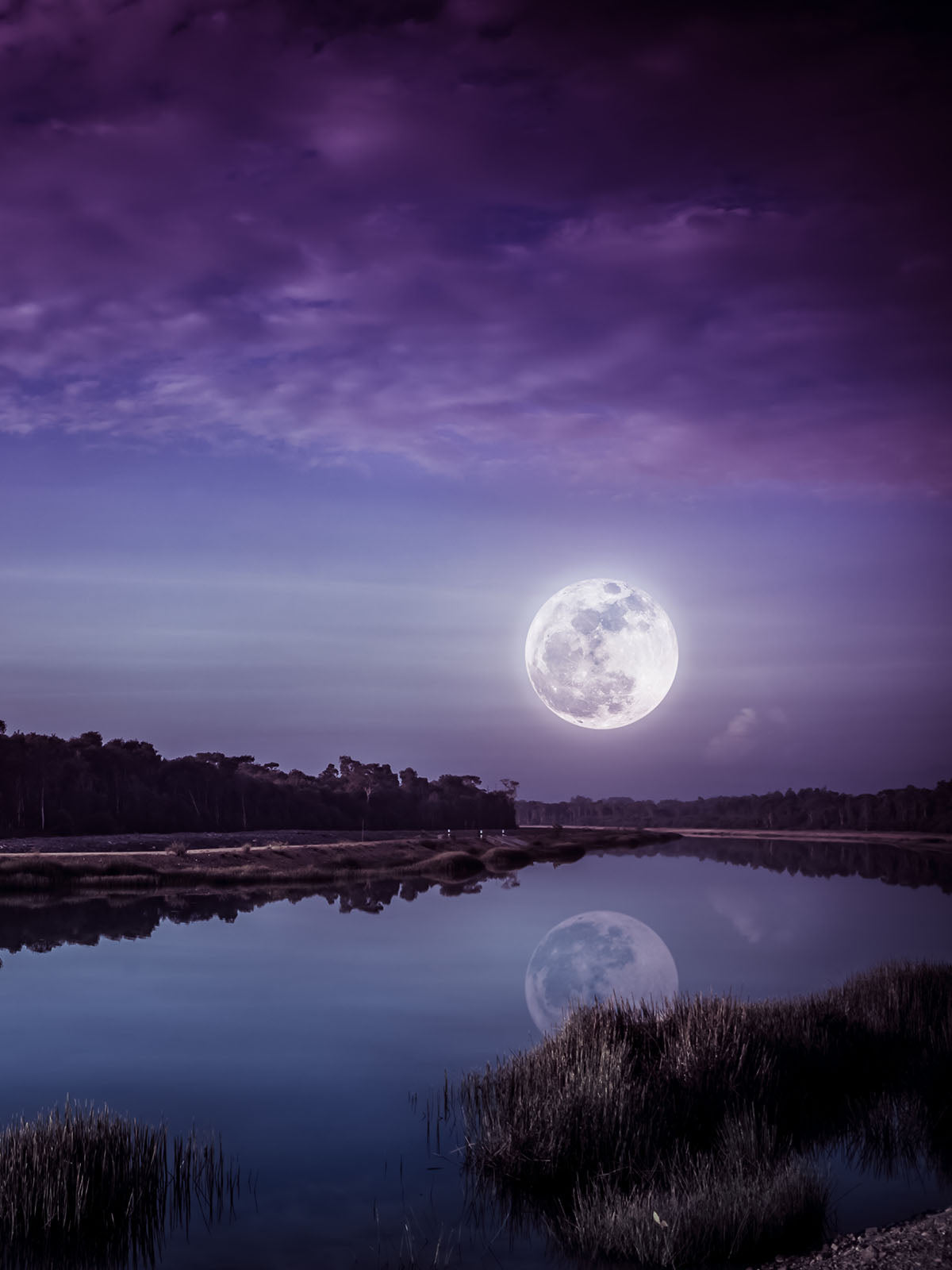 Reversible Halter Swimsuit | Moonlit Water to Midnight Blue